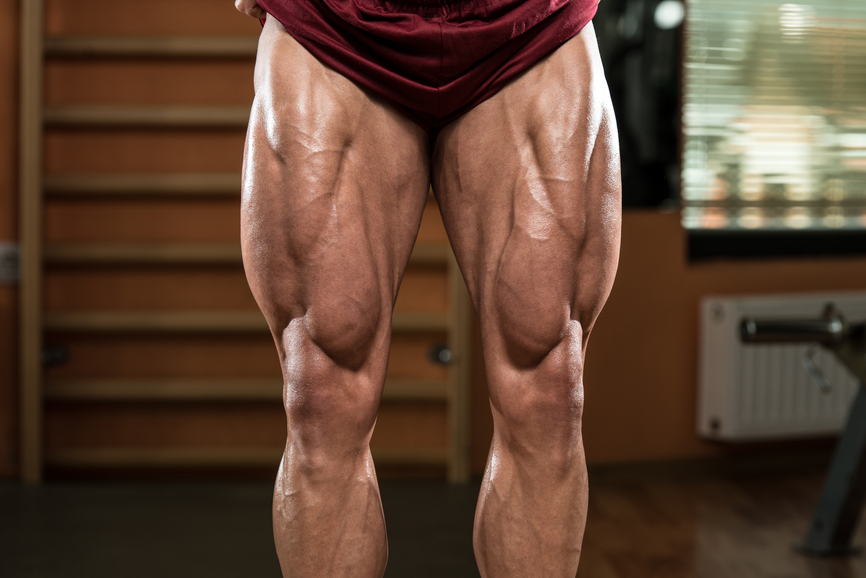 Desiring Stronger Legs? Discover 5 Expert Tips to Build Leg Muscle Quickly  and Effectively
